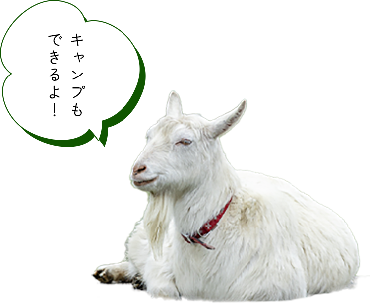 キャンプもできるよ!