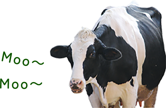 Moo〜Moo〜