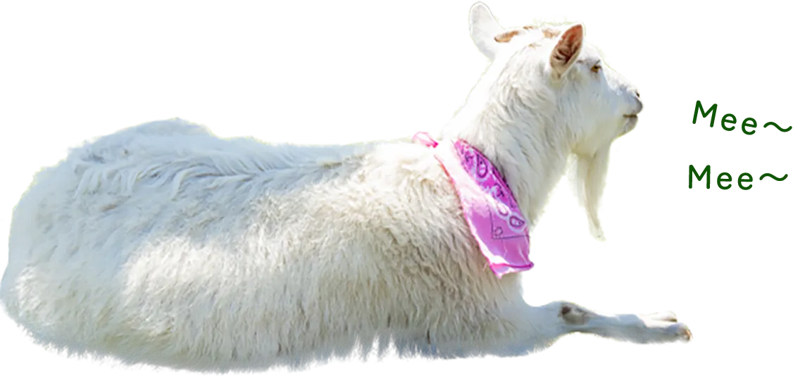 Mee〜Mee〜